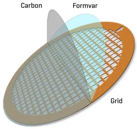 Sigma-Aldrich Formvar/Carbon Supported Copper Grids，Formvar/碳支撑的铜网格，网格尺寸100目，50个/盒