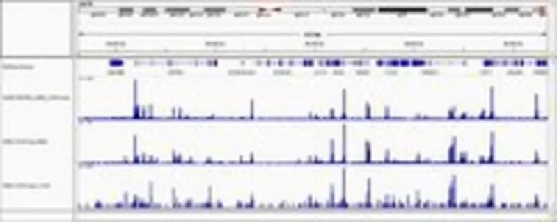 默克密理博 Digitonin solution,高纯度