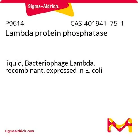 Sigma-Aldrich λ 蛋白磷酸酶,液体,λ噬菌体,重组,在大肠杆菌中表达