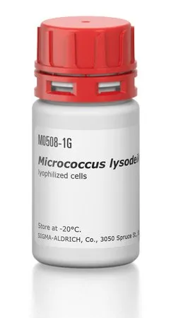 Sigma-Aldrich 溶壁微球菌 ATCC 编号 4698，冻干细胞