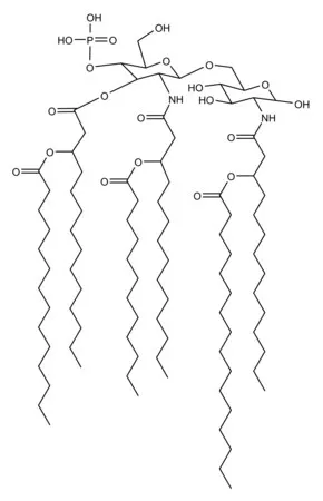 Sigma-Aldrich 单磷酰脂质A 来源于大肠杆菌 F583（Rd 突变体），冻干粉