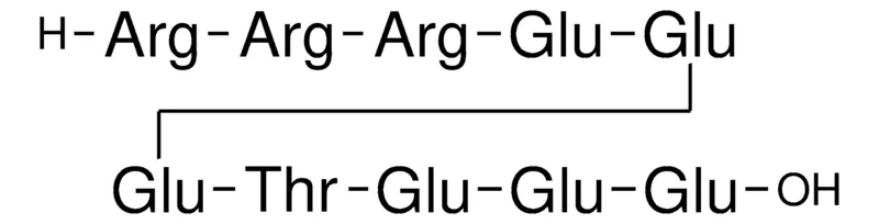 Sigma-Aldrich Arg-Arg-Arg-Glu-Glu-Glu-Thr-Glu-Glu-Glu,冻干粉