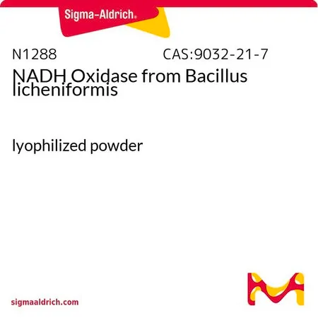 Sigma-Aldrich NADH Oxidase from Bacillus licheniformis,冻干粉