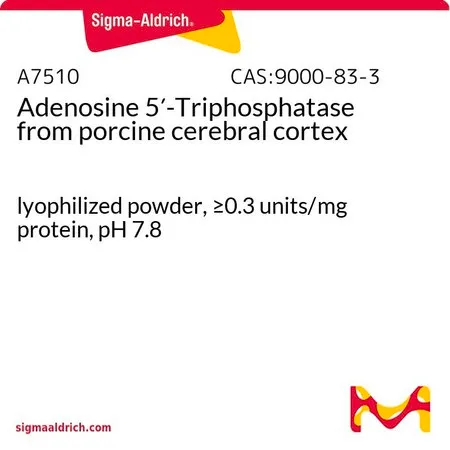 Sigma-Aldrich 腺苷 5′-三磷酸酶 来源于猪大脑皮质，冻干粉末，≥0.3单位/mg蛋白质，pH 7.8