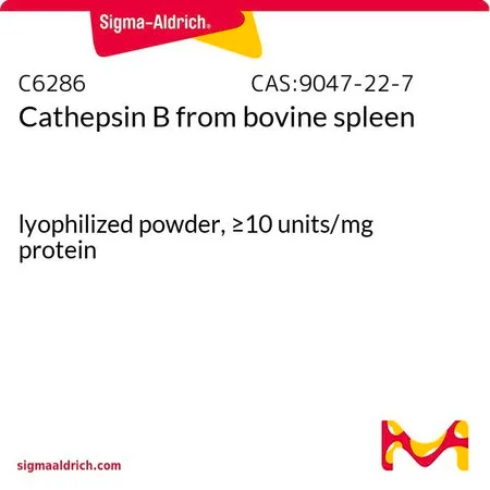 Sigma-Aldrich 组织蛋白酶B 来源于牛脾脏,冻干粉,≥10单位/mg蛋白