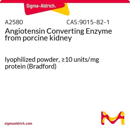 Sigma-Aldrich 血管紧张素转换酶 来源于猪肾脏,冻干粉,≥10单位/mg蛋白(Bradford)