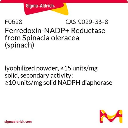 Sigma-Aldrich 铁氧化还原蛋白-NADP + 还原酶 来源于菠菜,冻干粉,≥15单位/mg固体,次要活性:≥10单位/mg固体NADPH黄递酶