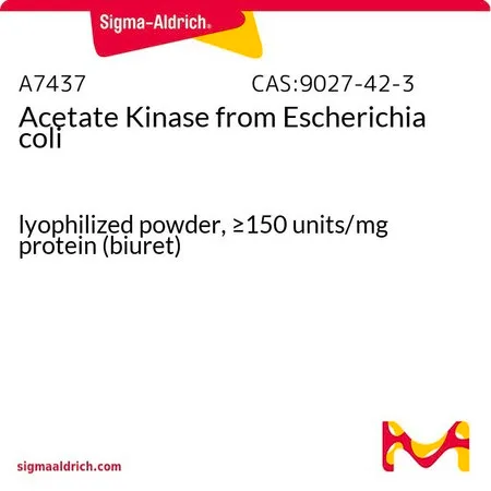 Sigma-Aldrich 乙酸激酶 来源于大肠杆菌,冻干粉,≥150单位/mg蛋白(缩二脲)