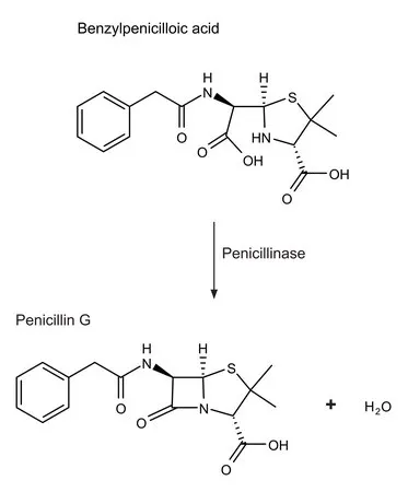 Sigma-Aldrich 青霉素 来源于蜡样芽胞杆菌，冻干粉，≥1500.00单位/mg蛋白（使用苄青霉素）