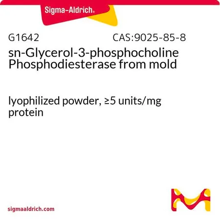 Sigma-Aldrich sn-Glycerol-3-phosphocholine Phosphodiesterase from mold，冻干粉末，≥5单位/mg蛋白质