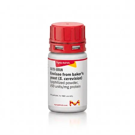 Sigma-Aldrich 烯醇酶 来源于面包酵母(酿酒酵母),冻干粉,≥50单位/mg蛋白