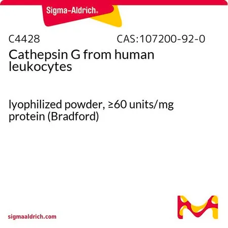 Sigma-Aldrich Cathepsin G from human leukocytes,冻干粉,≥60单位/mg蛋白(Bradford)