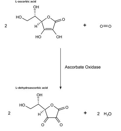 Sigma-Aldrich 抗坏血酸氧化酶 来源于南瓜 属,冻干粉,1,000 - 3,000单位/mg蛋白质