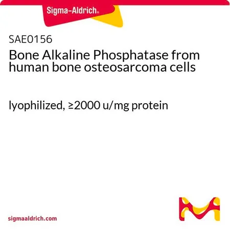 Sigma-Aldrich Bone Alkaline Phosphatase from human bone osteosarcoma cells,冻干,≥2000 u/mg蛋白