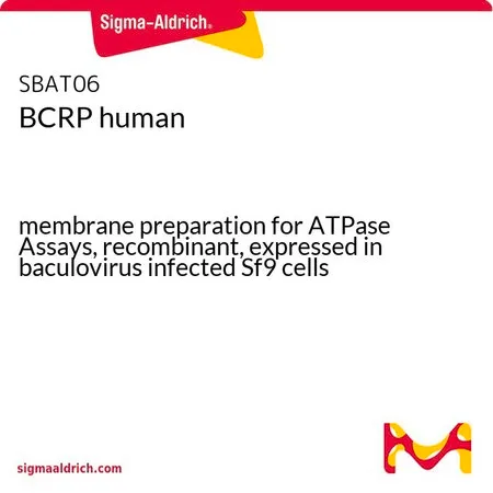 Sigma-Aldrich BCRP human,在杆状病毒感染的Sf 9细胞中表达的重组ATP酶测定用膜制备