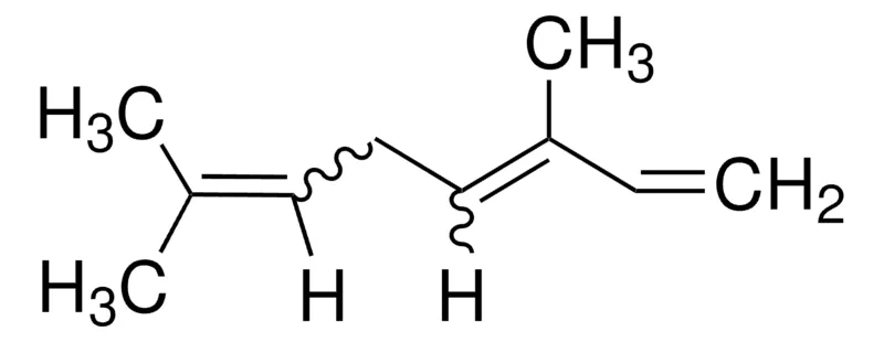 Sigma-Aldrich 罗勒烯，异构体混合物，稳定，≥90%