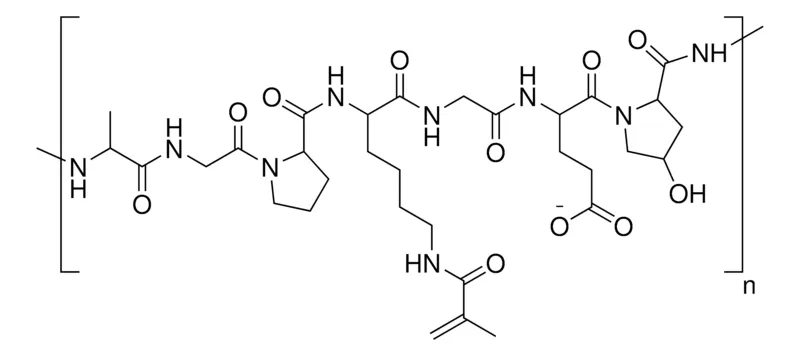 Sigma-Aldrich Low endotoxin GelMA,分子量95 kDa,取代度60%