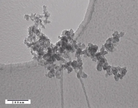 Sigma-Aldrich 石墨化碳，纳米粉末，石墨化，Al、Ti、Fe、Ni、Cu和Zn合计小于250 ppm