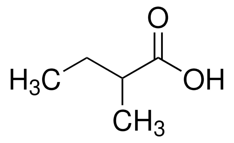 Sigma-Aldrich (±)-2-甲基丁酸，天然，≥98%，FG