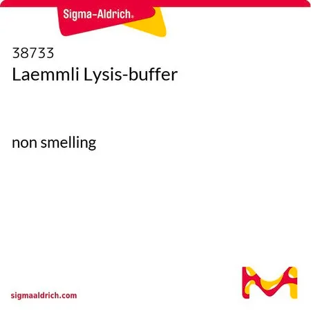 Sigma-Aldrich Laemmli Lysis缓冲液,无气味的