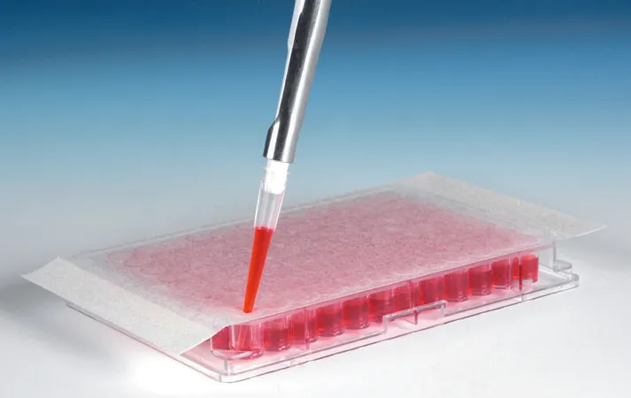 Sigma-Aldrich 透气型多孔板密封膜，每包100个