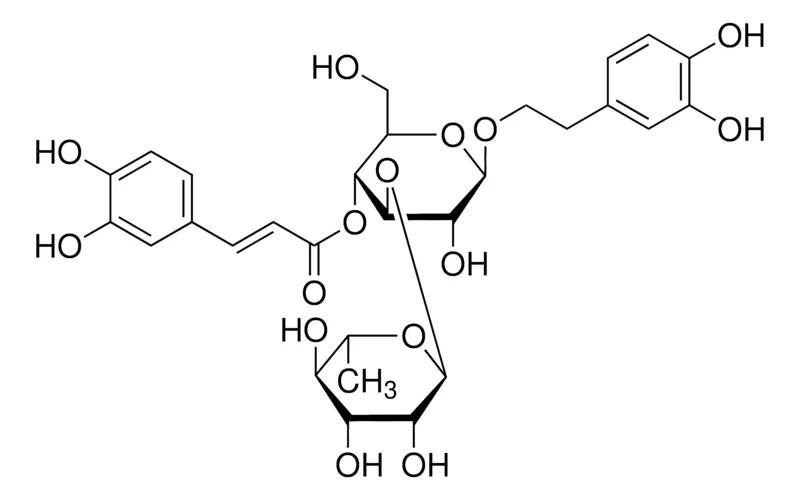 Sigma-Aldrich 毛蕊花苷,药品二级标准品