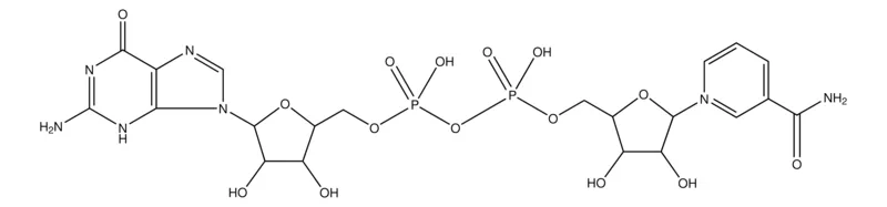 Sigma-Aldrich 烟酰胺鸟嘌呤二核苷酸 钠盐,磷酸二酯酶和ADP-核糖基环化酶底物