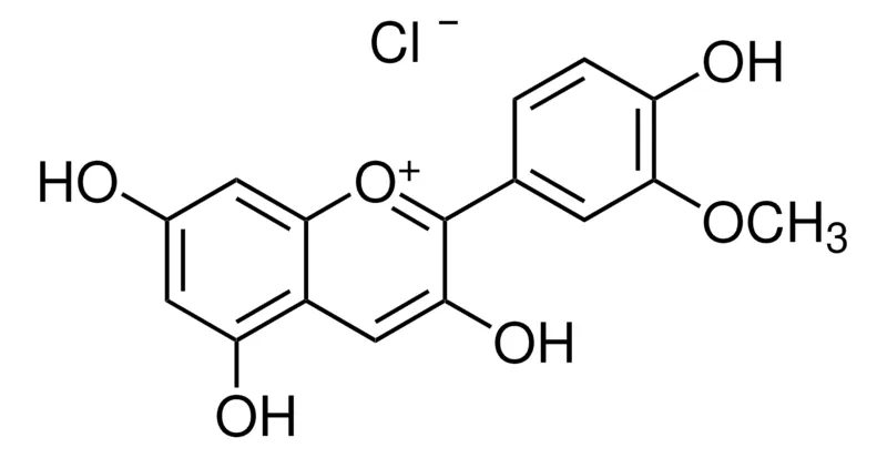默克Supelco 氯化芍药素,phyproof®参考物质