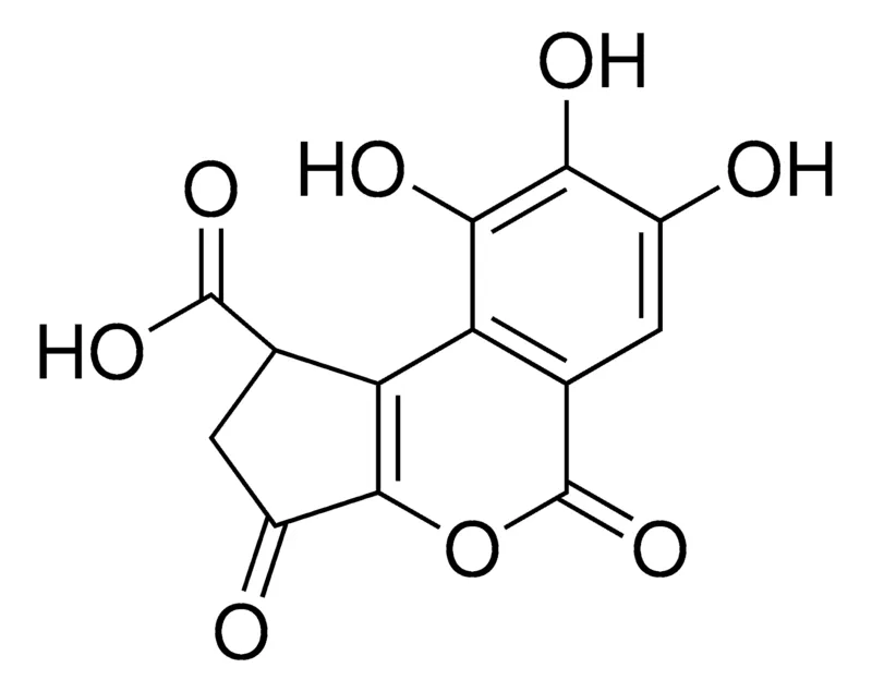 Sigma-Aldrich Brevifolincarboxylic acid，phyproof®参考物质