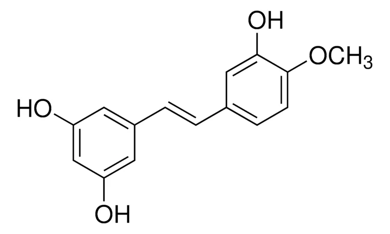 默克Supelco Rhapontigenin，phyproof®参考物质