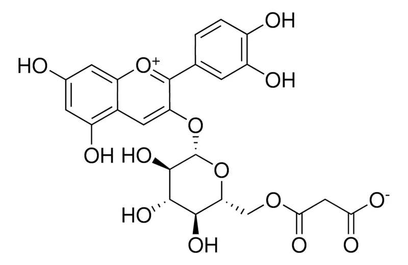 默克Supelco 矢车菊素3-(6′′-丙二酰葡萄糖苷),phyproof®参考物质