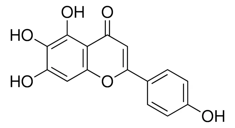 默克Supelco Scutellarein,phyproof®参考物质