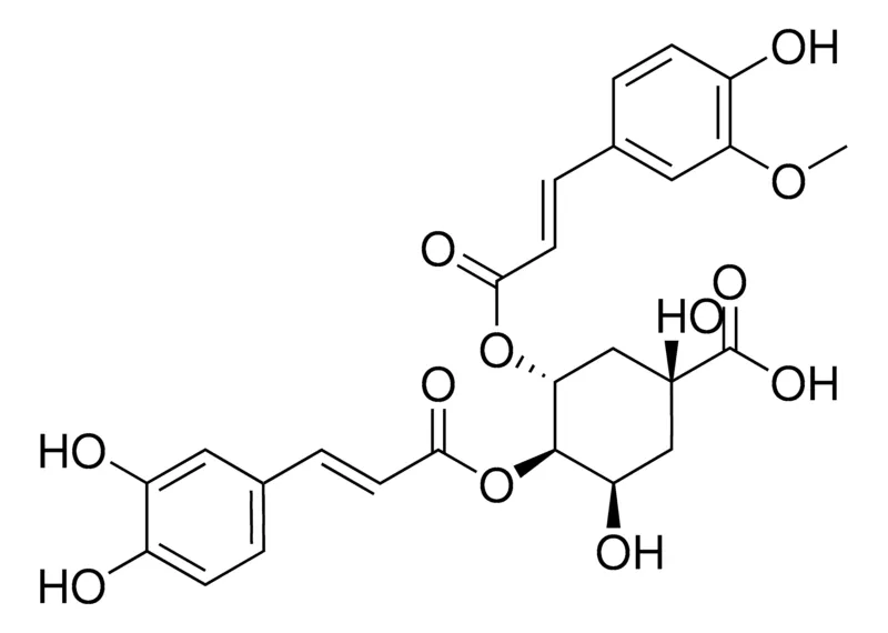 默克Supelco 3-Feruloyl-4-caffeoylquinic acid，phyproof®参考物质