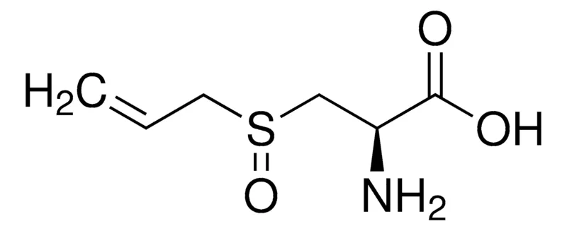 默克Supelco (±)- L -蒜氨酸,phyproof®参考物质