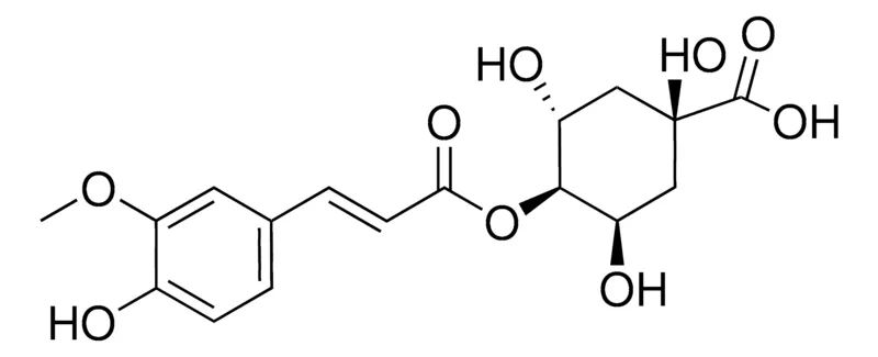默克Supelco 4-Feruloylquinic acid，phyproof®参考物质