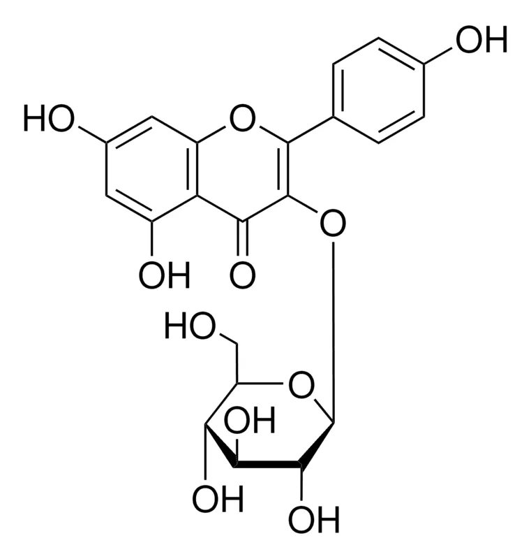 默克Supelco 山奈酚3-β-D-吡喃葡萄糖苷,phyproof®参考物质