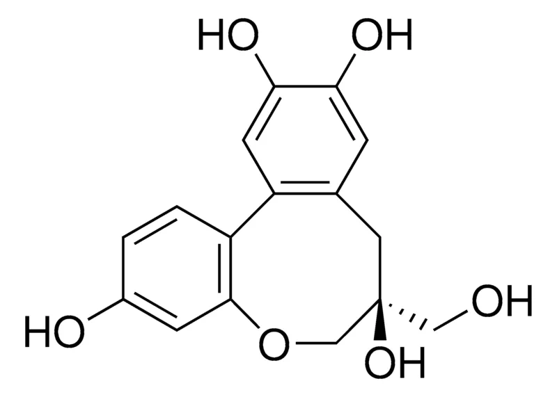 默克Supelco Protosappanin B，phyproof®参考物质