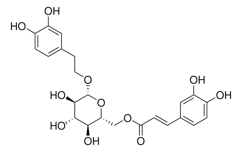 默克Supelco Calceolarioside B，phyproof®参考物质