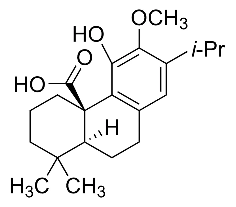 默克Supelco 12-O-Methylcarnosic acid,phyproof®参考物质