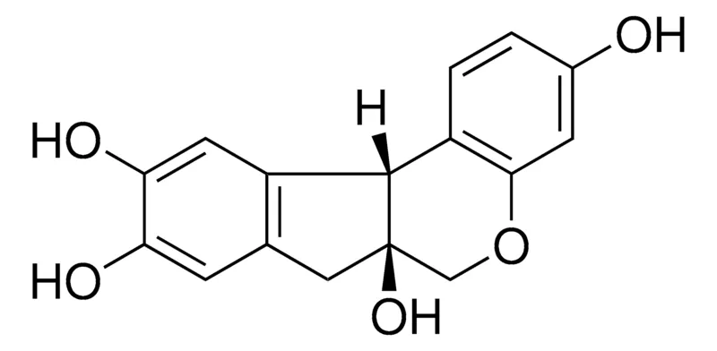 Sigma-Aldrich 巴西木素，phyproof®参考物质