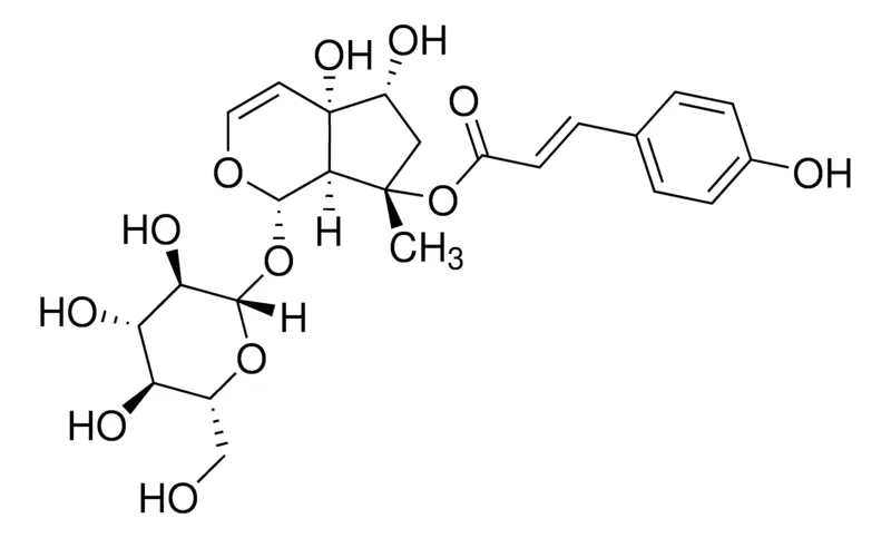 Sigma-Aldrich 8-p-Coumaroylharpagide，phyproof®参考物质