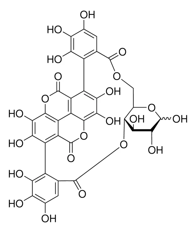 Sigma-Aldrich Punicalin (A + B mixture)，phyproof®参考物质