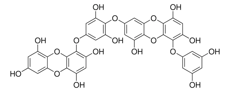 默克Supelco Dieckol，phyproof®参考物质