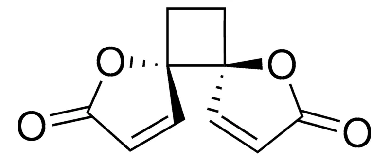 Sigma-Aldrich Anemonin，phyproof®参考物质