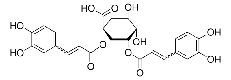 默克Supelco 1,3-二咖啡酰奎宁酸,phyproof®参考物质