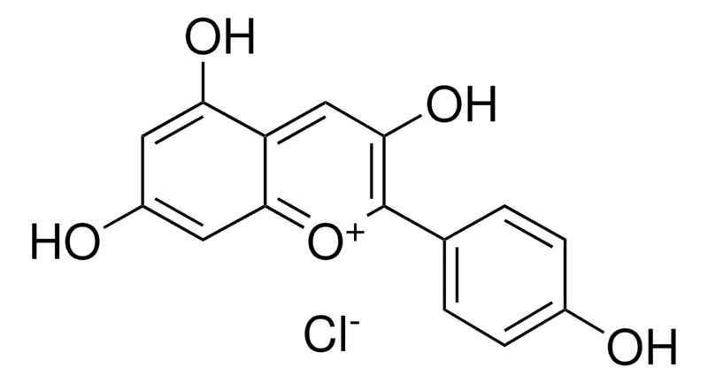 默克Supelco 氯化花葵素,phyproof®参考物质
