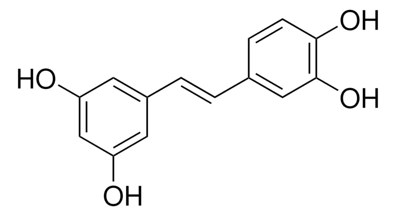默克Supelco 白皮杉醇，phyproof®参考物质