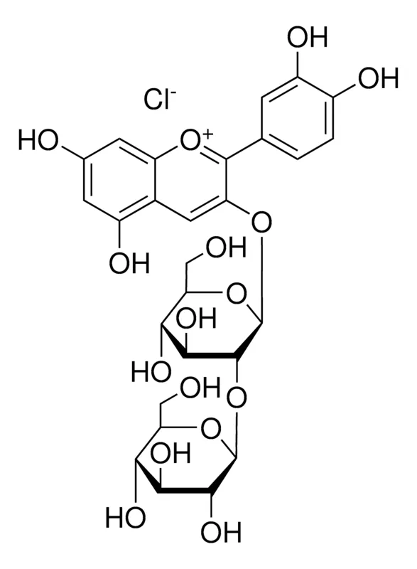 默克Supelco Cyanidin 3-sophoroside chloride，phyproof®参考物质