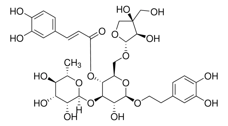 Sigma-Aldrich Forsythoside B，phyproof®参考物质