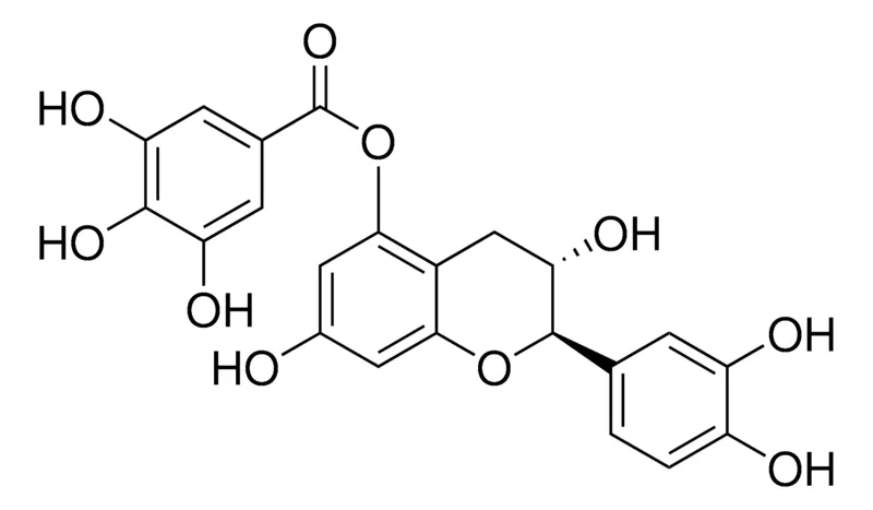 默克Supelco (+)-儿茶素5-没食子酸酯，phyproof®参考物质